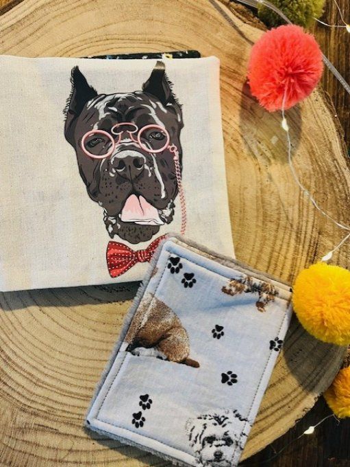 Pochette 4 lingettes chien 