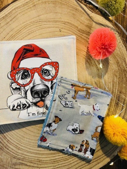 Pochette 4 lingettes chien 